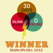 Banner NaNoWriMo-Winner