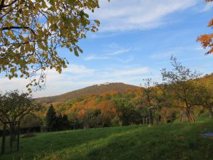 Blick auf Petersberg