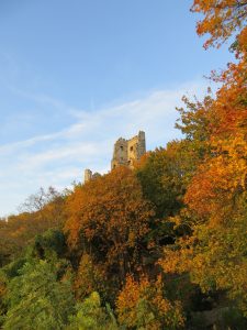 Drachenfels